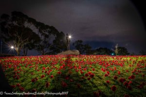 WarMemPoppies_09102018-8070-4